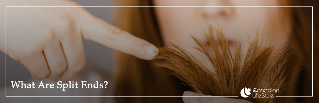 What Are Split Ends? What Are Split Ends?